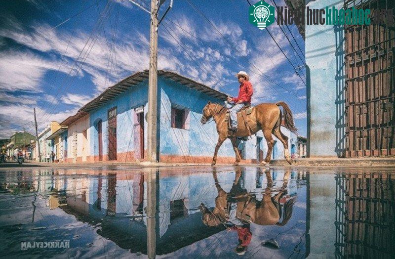Sau cơn mưa, hình ảnh một khu phố phản chiếu một cách hoàn hảo xuống mặt nước mưa đọng lại trên đường.