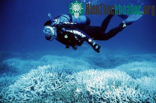 Sự thay đổi khủng khiếp của Trái đất do biến đổi khí hậu- ảnh 4