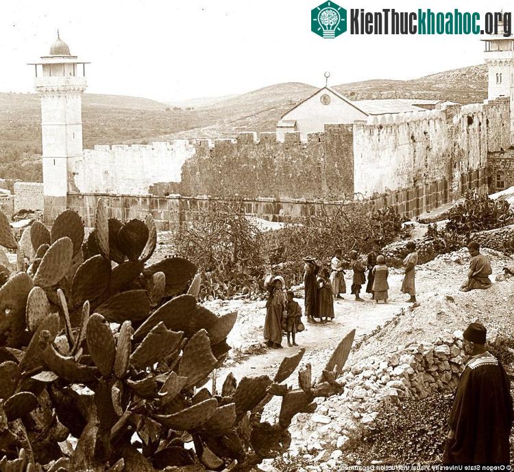 Một nhóm trẻ con tụ tập chơi đùa. Địa hình của Israel có nhiều đồi núi.