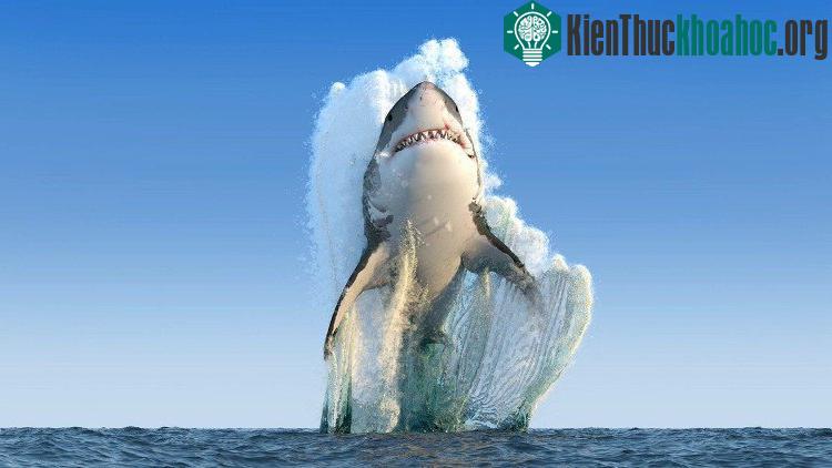 Hình ảnh ấn tượng nhất năm của National Geographic