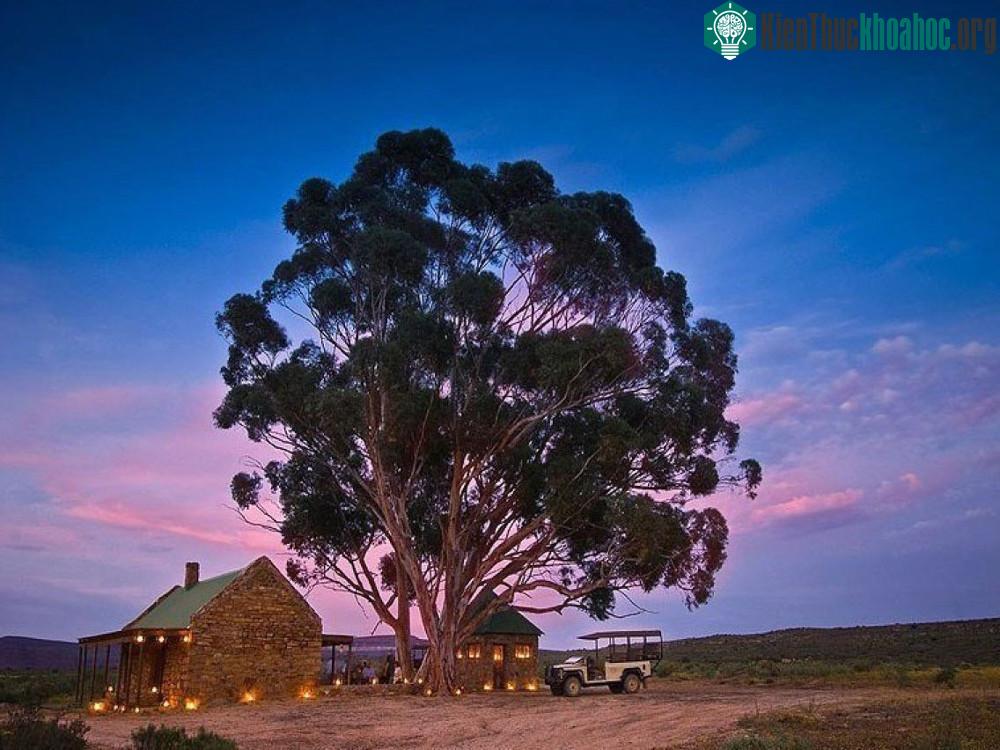 Western Cape, Nam Phi là nơi có nhiệt độ của miền nhiệt đới.
