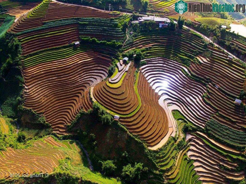 Hà Giang, nơi có những thửa ruộng bậc thang đẹp mắt, thu hút nhiều khách du lịch tìm đến mỗi ngày.