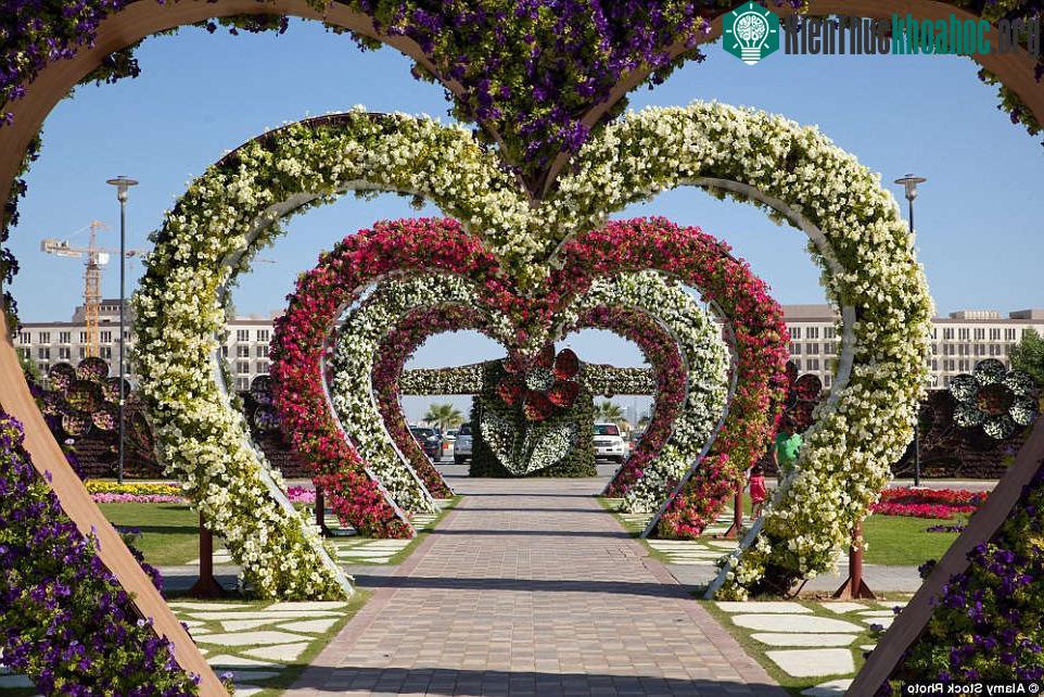 Dubai Miracle Garden, Dubai