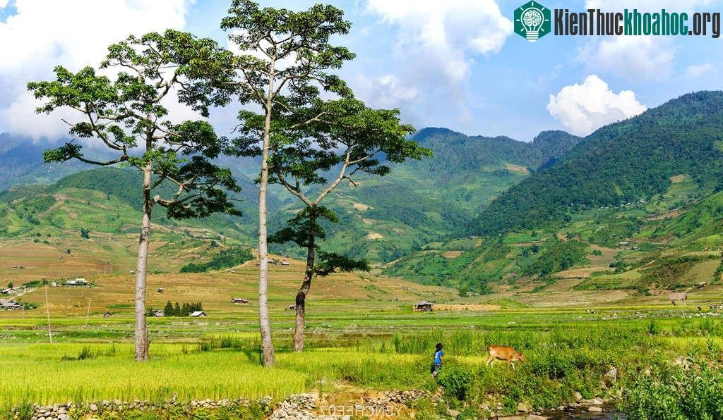 Bản Lìm Mông