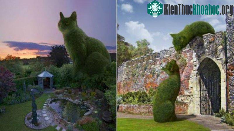 Những chú mèo khổng lồ khiến người xem hoa mắt ảnh 3