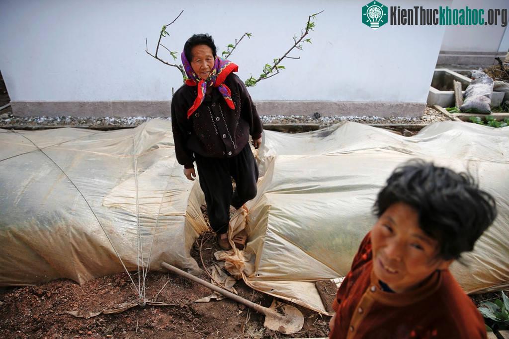 Nông dân làm việc trên một cánh đồng ở ngoại ô Bình Nhưỡng trong mùa đông. Nổi tiếng với các biện pháp kiểm soát thông tin chặt chẽ, thế giới dường như không biết nhiều tới cuộc sống ở những vùng n...