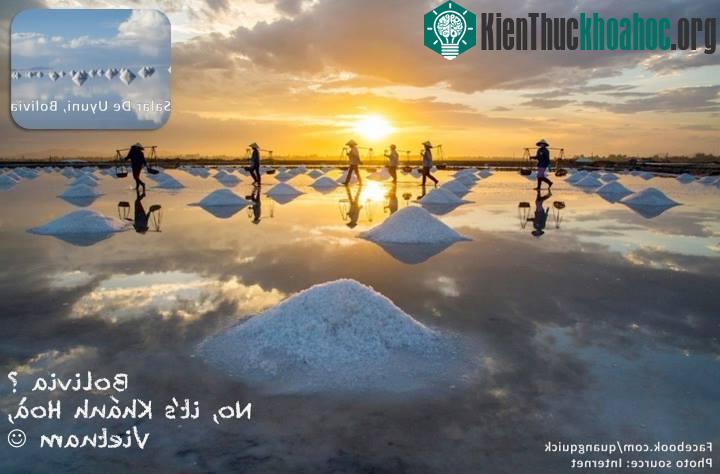 Bạn vẫn hâm mộ vẻ đẹp của cánh đồng muối Salar De Uyuni, Bolivia, chẳng cần đi xa đến thế đâu, chỉ cần đến Khánh Hòa thôi, bạn cũng sẽ được ngắm những cánh đồng muối đẹp chẳng kém phần địa danh nổi...