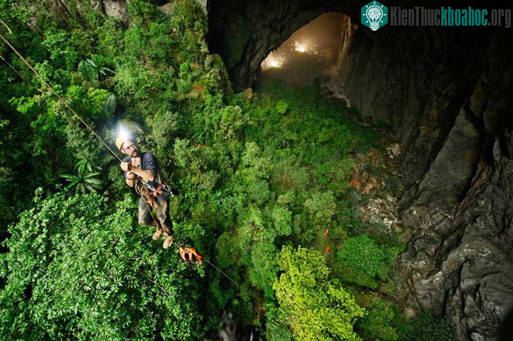 Trần hang có hai hố sụt lớn, giúp ánh sáng mặt trời và nước mưa lọt qua, tạo ra một khu rừng với hệ động thực vật độc đáo. (Ảnh: Carsten Peter).