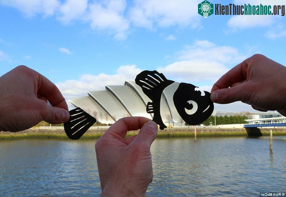 McCor sáng tạo để biến thính phòng Clyde (Glasgow, Scotland) thành chú cá Nemo trong bộ phim Đi tìm Nemo ra rạp năm 2003.