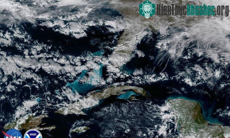 Florida, Caribbean và một phần của trung Mỹ.