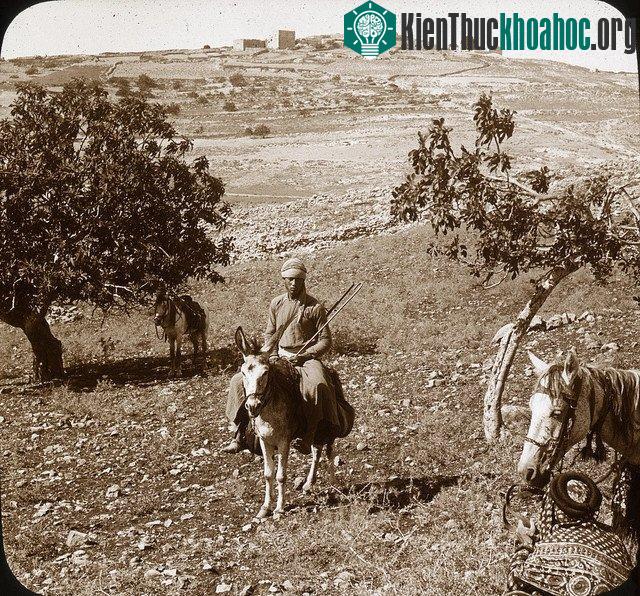 Cuộc sống dân dã của người dân ở ngọn đồi tại Ramah.