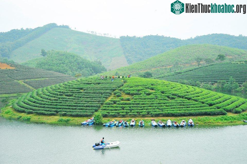 Đây là hoạt động câu lạc bộ phối hợp với Sở Văn hóa Thể thao Du lịch Nghệ An nhằm quảng bá hình ảnh du lịch của đảo chè và bộ môn thể thao kayak.