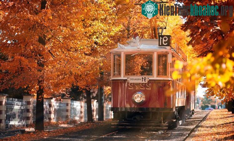 Đoàn tàu cổ kính chầm chậm tiến vào thủ đô Prague, CH Czech trong một sắc thu mơ màng, đẹp khó tin.