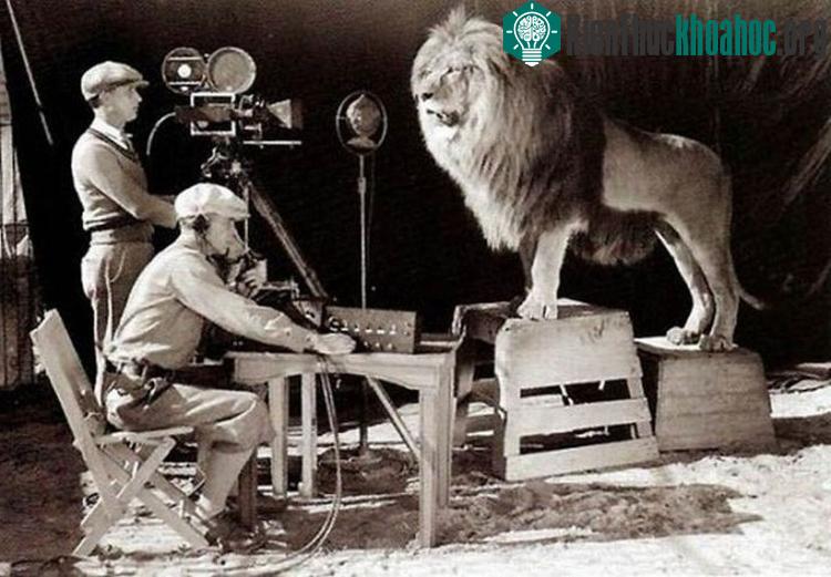Cách người ta tạo ra logo nổi tiếng của hãng Metro-Goldwyn-Mayer.