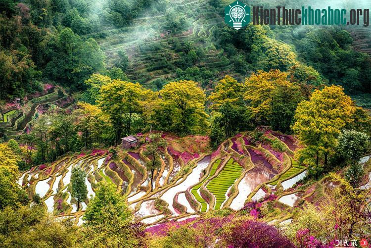 Giới nhiếp ảnh bị những thửa ruộng bậc thang mê hoặc, mùa nào cũng có không ít người lặn lội đường xa đến với Nguyên Dương, tìm tòi những góc chụp đẹp nhất.