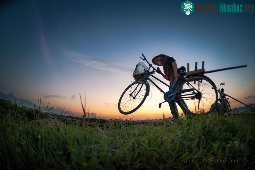 Về với làng quê giống như ta đang về với cội nguồn dân tộc, sống trong không gian bình yên, sâu lắng, hít hà hương lúa chín với những ngọn gió mát dịu.