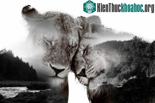 Chiêm ngưỡng những bức ảnh phơi sáng kép đẹp đến ngỡ ngàng ảnh 4