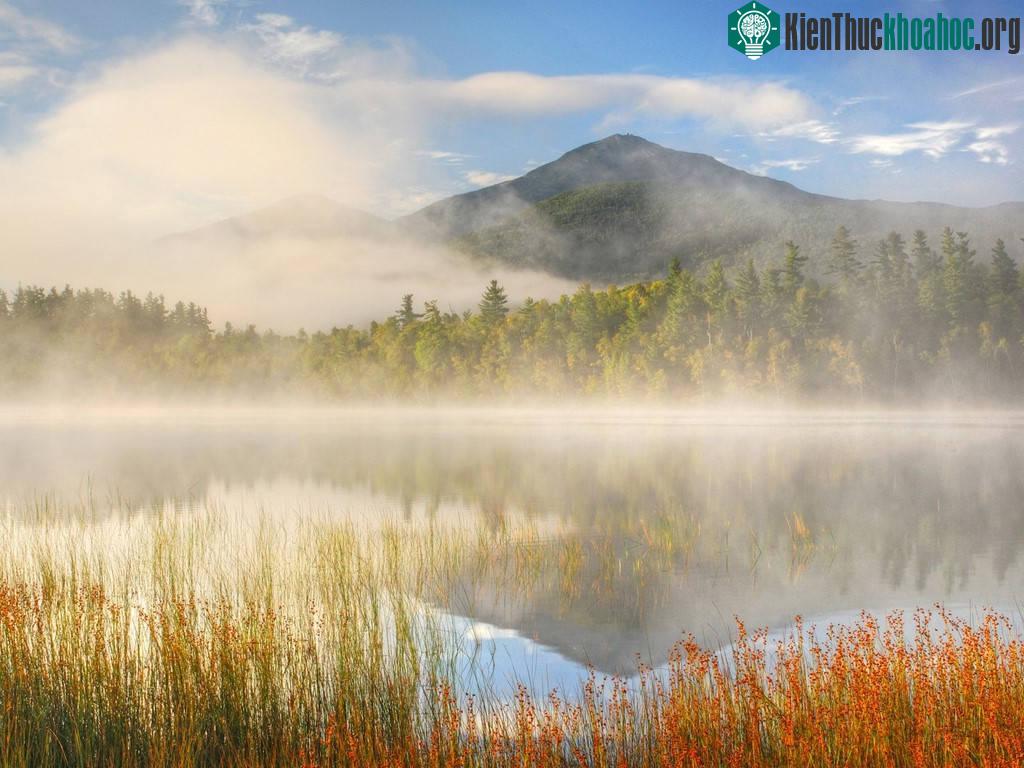 Dãy núi Adirondack, Mỹ: Ngoài chiêm ngưỡng khung cảnh hoang sơ, hùng vĩ, du khách còn có thể trải nghiệm hệ thống cầu và đài quan sát trên cao, cùng các ngôi nhà cây tuyệt đẹp.
