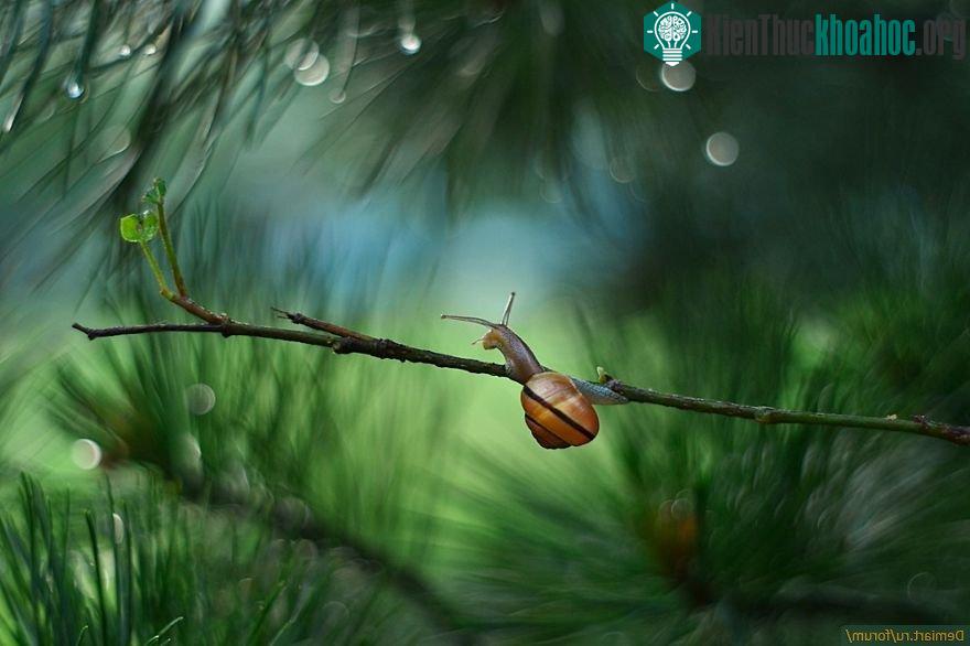 Để bắt được những khoảnh khắc đẹp, Katarzyna thường mất khoảng 1 giờ đồng hồ để chờ đợi và bắt được góc hình ưng ý.