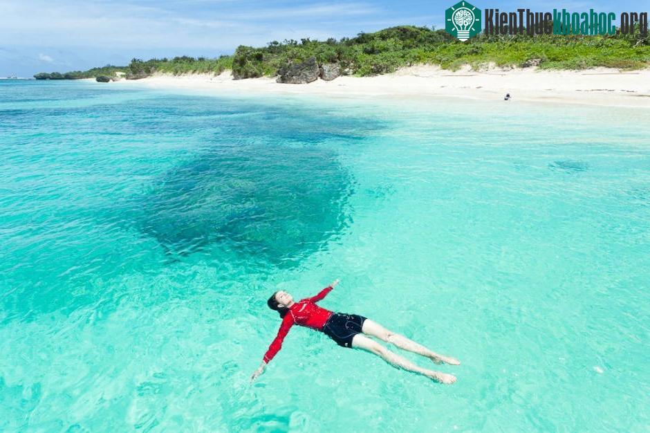 Hòn đảo này được biết đến như một trong những điểm lặn biển tuyệt nhất thế giới, với làn nước trong vắt như pha lê, vô số loài san hô và động vật biển độc đáo. (Ảnh: Thegoldenscope).
