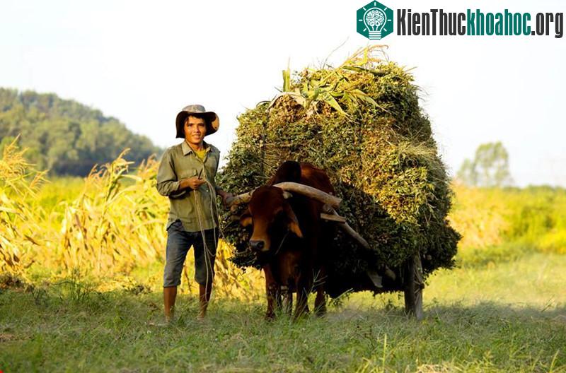 Nụ cười luôn hiện hữu trên gương mặt của những người dân chất phác