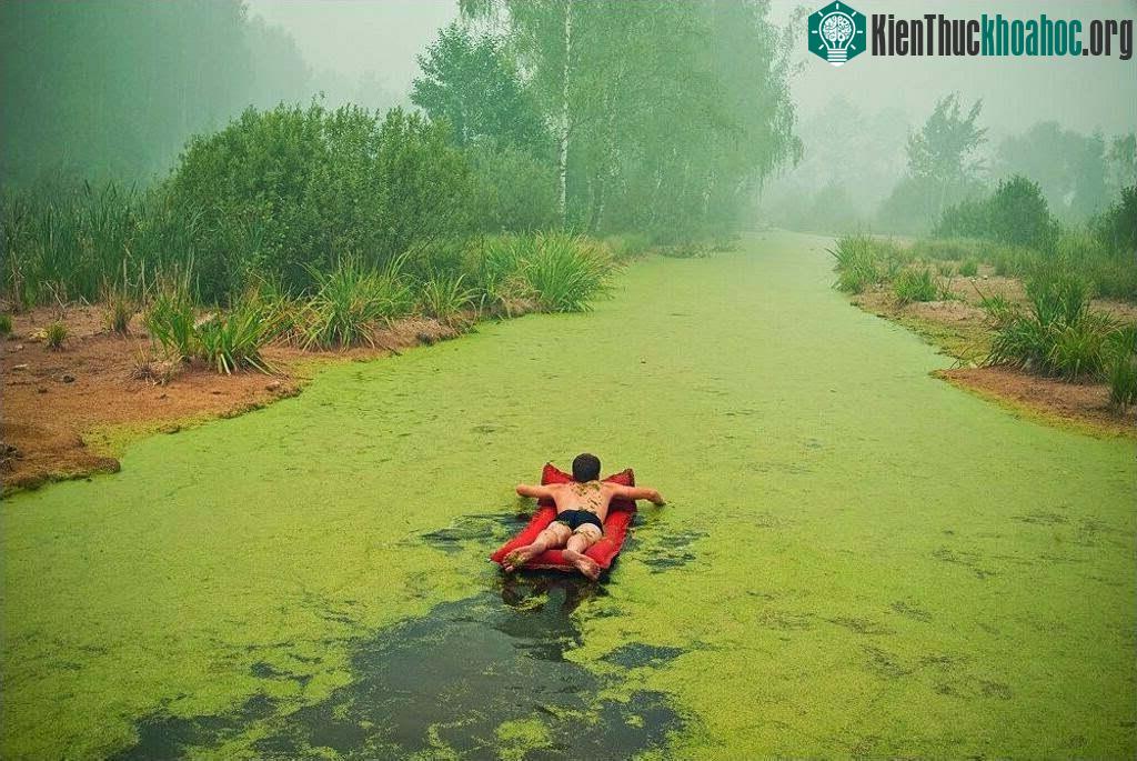 Bơi vào xứ sở màu xanh.