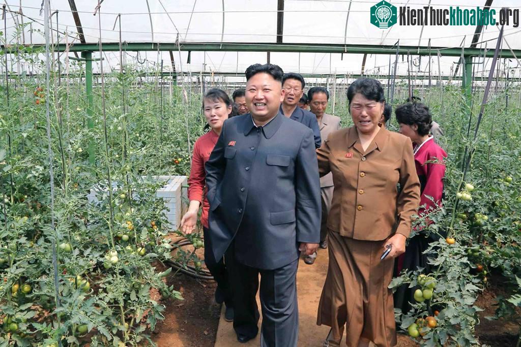 Trong khi đó, Triều Tiên vừa đón tiếp một đoàn phóng viên nước ngoài tới thăm nông trang điển hình ở thủ đô Bình Nhưỡng hôm 4/5. Theo lời kể của phóng viên CBS News, họ ghé thăm nông trang mà nhà l...