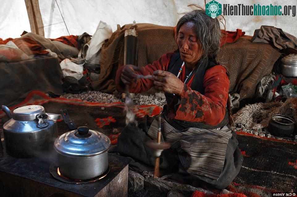 Người Chang Tang-Pa không dùng tiền, sống chủ yếu bằng việc trao đổi hàng hóa (phần lớn là dê và các sản phẩm từ dê).