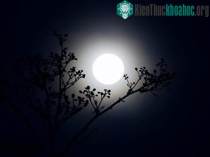 Hiện tượng này cũng tác động đến thủy triều trên các đại dương.