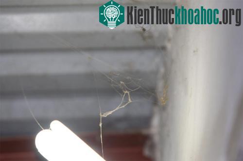 Ý kiến về việc: Xuất hiện ánh sáng lạ ở HN ảnh 5