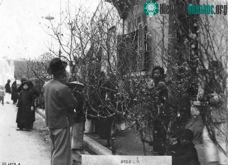 Chợ chủ yếu bán hoa đào