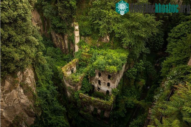 Một nhà máy cũ tại Sorrento, Italy gần như bị cây xanh phủ kín.