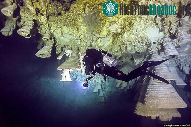 Thạch nhũ hình chuông bí ẩn trong hang động Mexico ảnh 5