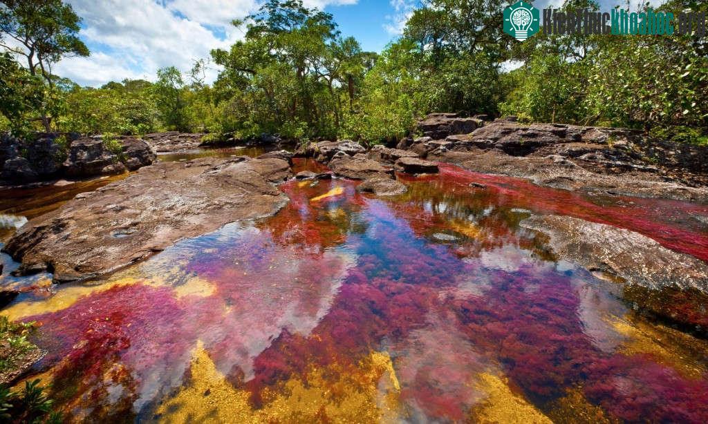 Sông Cano Cristales, Serrania de la Macarena, Colombia