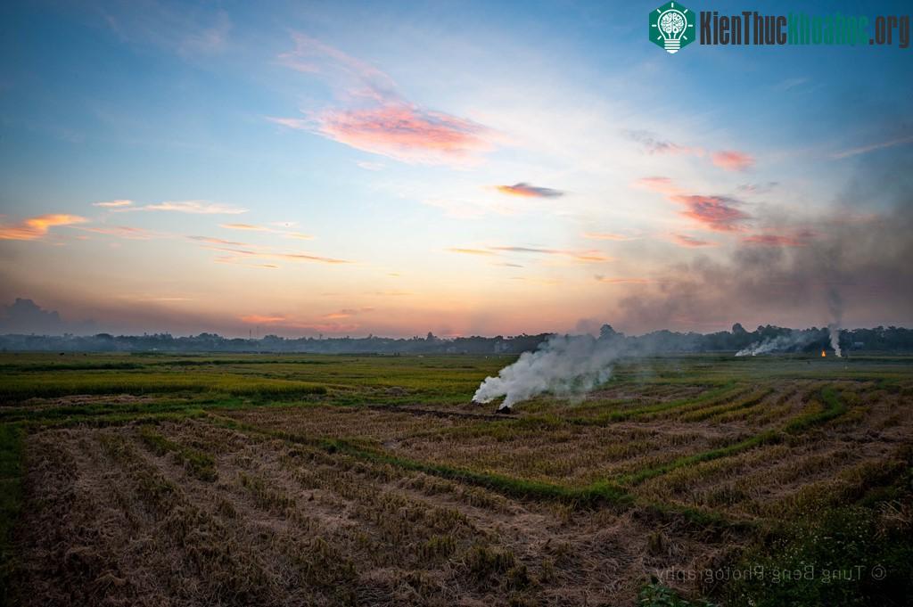 Sau khi lúa được gặt xong, cánh đồng còn lại những gốc rạ khô. Theo cách truyền thống, người dân đốt rạ - vừa sạch cánh đồng, diệt mầm mống sâu bệnh, vừa là nguồn phân bón đầy dinh dưỡng cho vụ mùa...