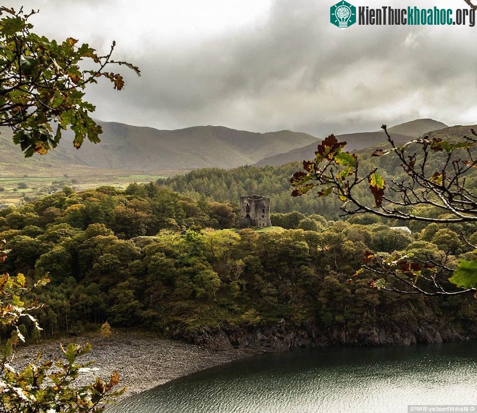Lâu đài Dolbarden nằm ẩn mình trong một khu rừng tuyệt đẹp ở xứ Wales. Lâu đài này được hoàng tử xứ Wales Llywelyn xây dựng vào thế kỷ thứ 13.