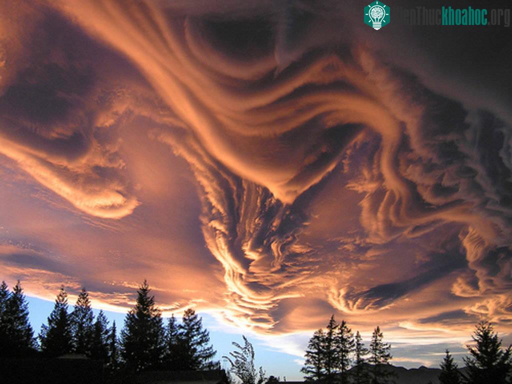 Đây là mây Undulatus asperatus