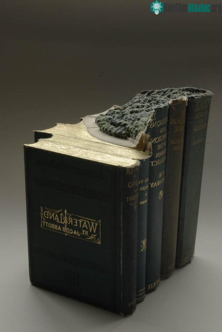 Những tác phẩm này của ông được xếp vào hai sê ri The Great Wall và Biblios.
