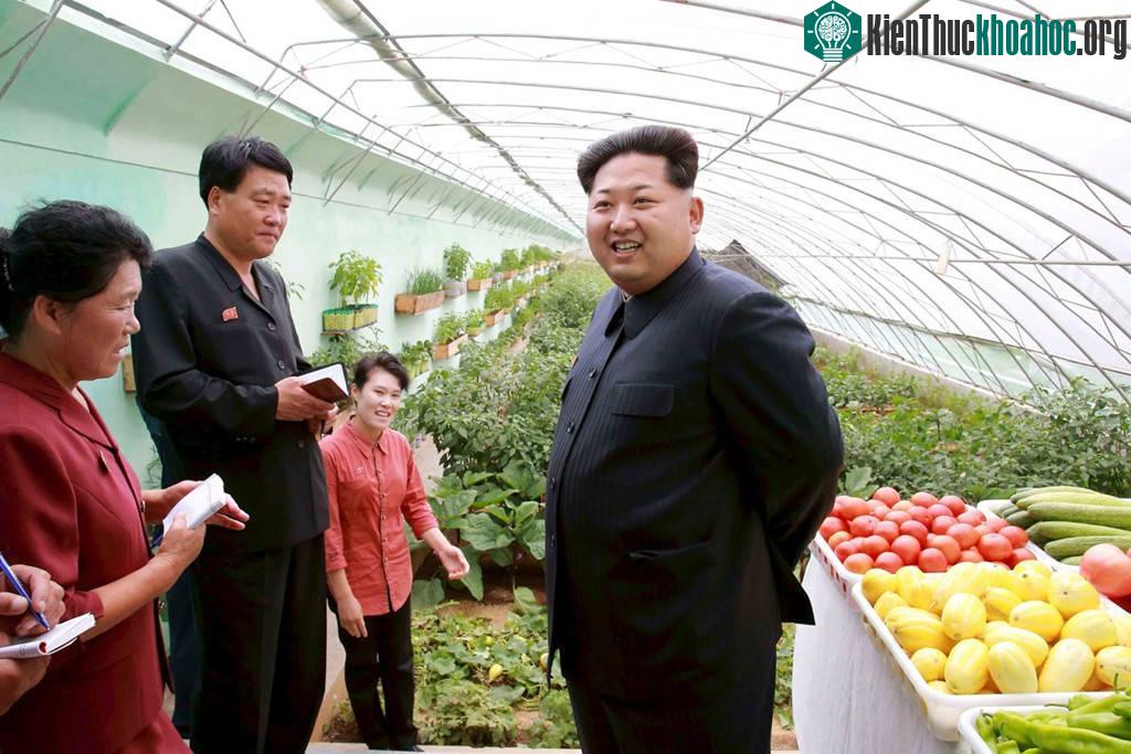 Jangchon là một trong những nông trang điển hình của Triều Tiên, nằm tại quận Sadong, thủ đô Bình Nhưỡng. Đây là một trong số ít khu canh tác được trang bị hệ thống nhà kính quy mô cùng các tấm pin...