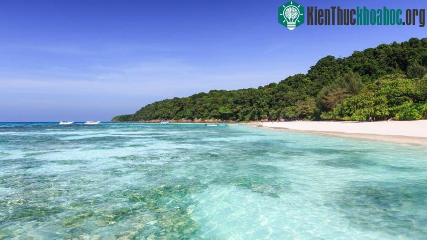 Khám phá vẻ đep của đảo thiên đường sắp bị đóng cửa ở Thái Lan ảnh 5