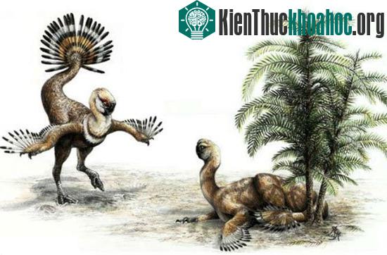 Vũ công sặc sỡ. Oviraptor là một loài khủng long sống ở kỷ Phấn trắng. Chúng có lông và nhiều nhà khoa học cho rằng bộ lông này được dùng để "khoe mẽ" khi tán tỉnh bạn tình - một đặc điểm...