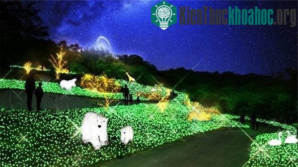 Choáng ngợp với cách trang trí Noel cực ảo diệu trên khắp năm châu ảnh 53
