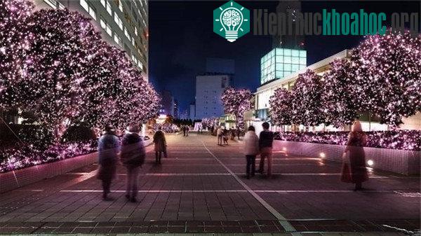 Choáng ngợp với cách trang trí Noel cực ảo diệu trên khắp năm châu ảnh 56