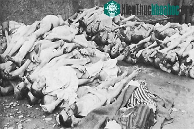 Xác người chồng chất ở trại tập trung Buchenwald.