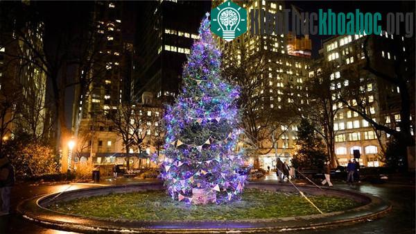 Choáng ngợp với cách trang trí Noel cực ảo diệu trên khắp năm châu ảnh 6