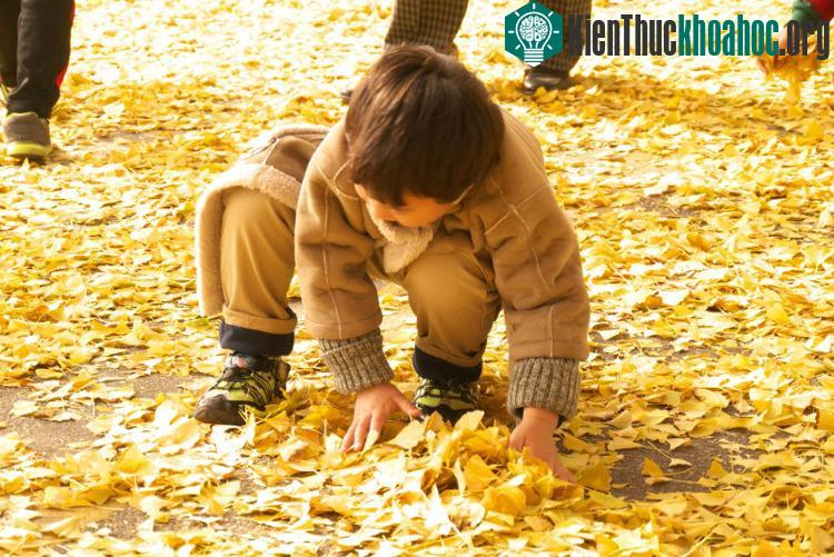 Một cậu bé thích thú đùa nghịch với lá cây.