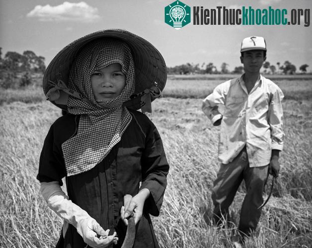 Chân dung người nông dân Củ Chi, 1994.