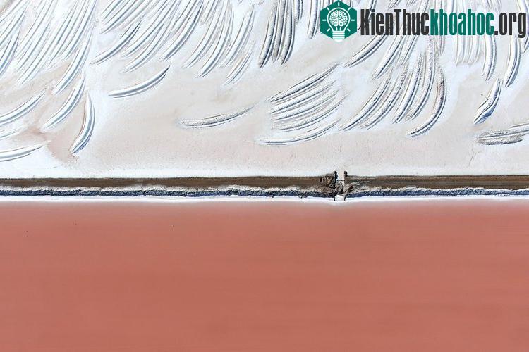 Những vết "trầy xước" từ trên cao lạ lùng và gợi nhiều liên tưởng.