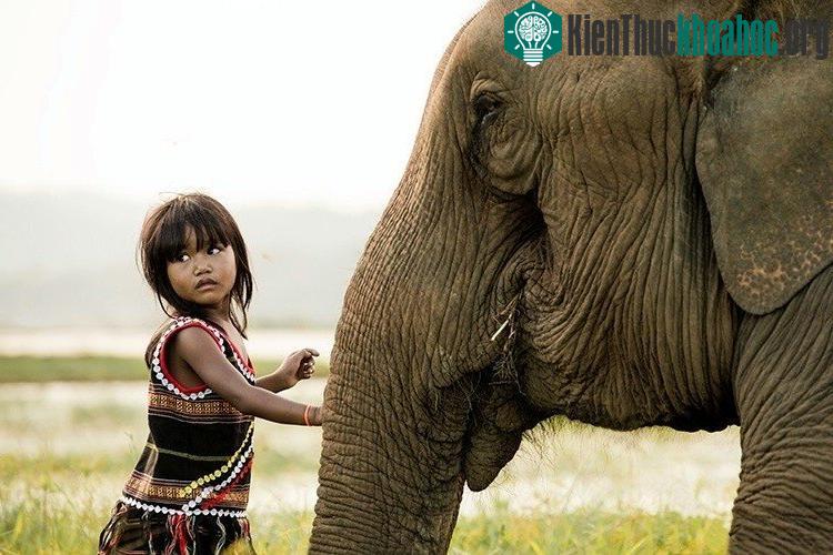 Bộ ảnh tuyệt đẹp về các dân tộc Việt Nam trên báo Mỹ ảnh 6