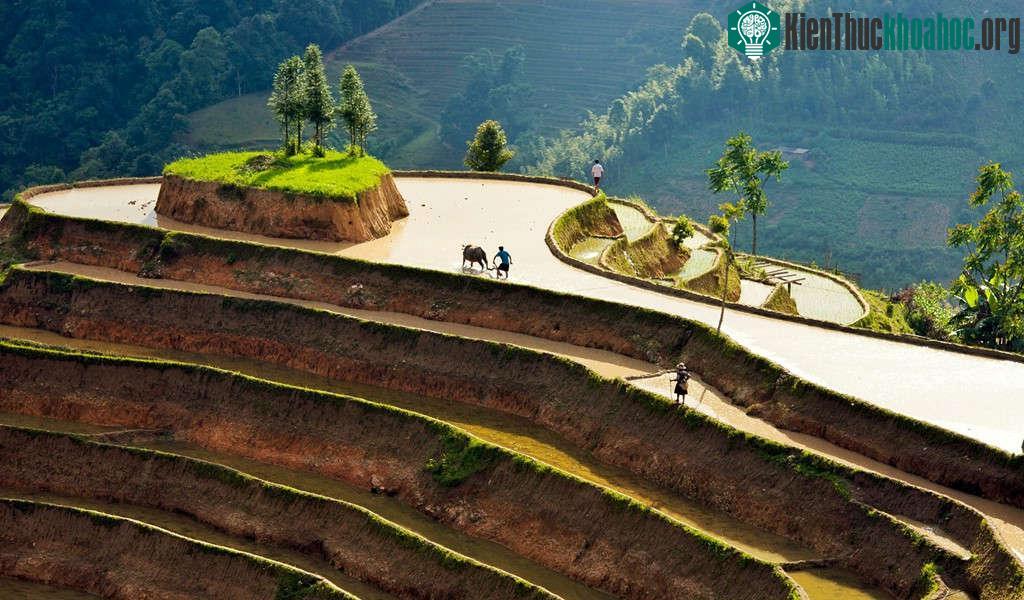 Trong ánh hoàng hôn, ngắm nhìn những thửa ruộng long lanh xếp đặt tít trên tận đỉnh núi khiến người ta dễ tưởng rằng, khoảng cách giữa đất trời gần gũi lắm, và tưởng tượng ra mình là người hùng tro...